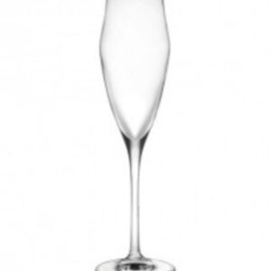 Leeg elegant champagneglas met slanke steel